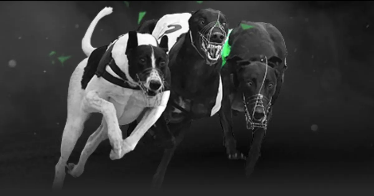 国青教练强,备战充分,刘诚宇点球,大众彩票,彩票平台,在线投注,彩票大奖,彩票服务