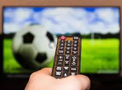 上届奥运金,牌得主受邀,出战,大众彩票,彩票平台,在线投注,彩票大奖,彩票服务